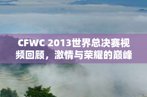 CFWC 2013世界总决赛视频回顾,激情与荣耀的巅峰对决 CFWC 2013世界总决赛视频回顾,激情与荣耀的巅峰对决
