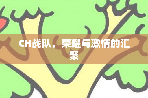 CH战队,荣耀与激情的汇聚 CH战队,荣耀与激情的汇聚