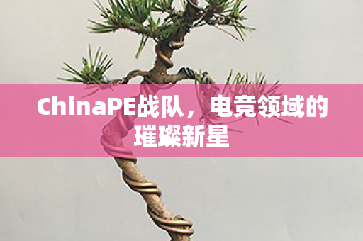 ChinaPE战队,电竞领域的璀璨新星 ChinaPE战队,电竞领域的璀璨新星