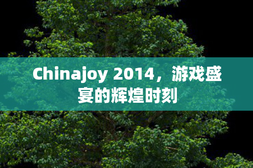 Chinajoy 2014,游戏盛宴的辉煌时刻 Chinajoy 2014,游戏盛宴的辉煌时刻