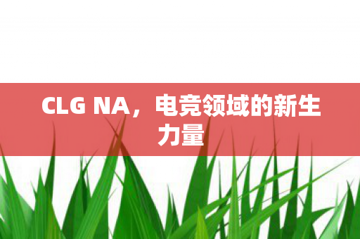 CLG NA,电竞领域的新生力量 CLG NA,电竞领域的新生力量