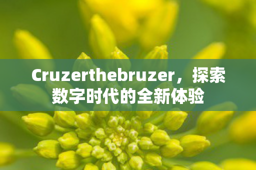 Cruzerthebruzer,探索数字时代的全新体验 Cruzerthebruzer,探索数字时代的全新体验
