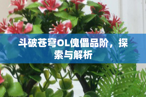 斗破苍穹OL傀儡品阶,探索与解析 斗破苍穹OL傀儡品阶,探索与解析