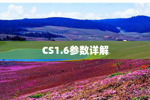 CS1.6参数详解