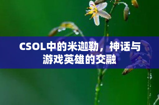 CSOL中的米迦勒,神话与游戏英雄的交融 CSOL中的米迦勒,神话与游戏英雄的交融