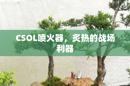 CSOL喷火器，炙热的战场利器