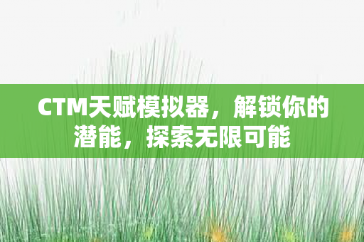 CTM天赋模拟器，解锁你的潜能，探索无限可能