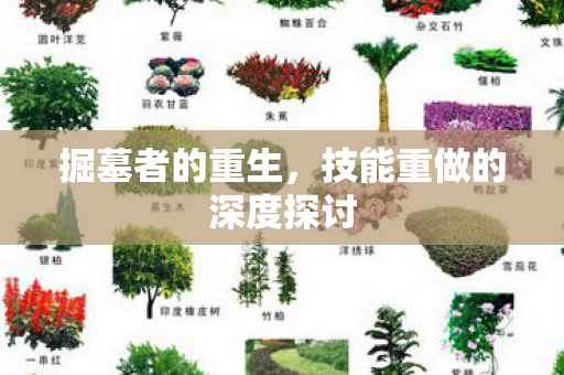 掘墓者的重生，技能重做的深度探讨