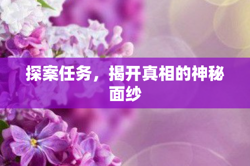 探案任务,揭开真相的神秘面纱 探案任务,揭开真相的神秘面纱