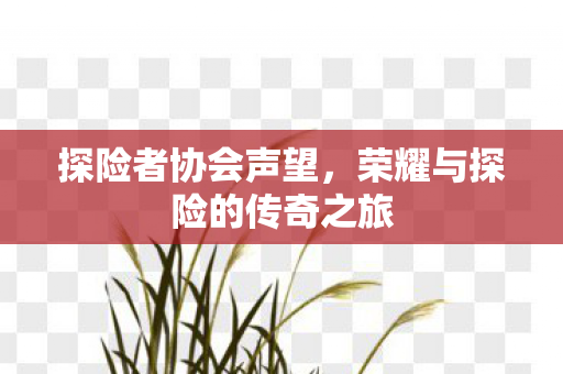 探险者协会声望,荣耀与探险的传奇之旅 探险者协会声望,荣耀与探险的传奇之旅