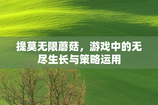 提莫无限蘑菇,游戏中的无尽生长与策略运用 提莫无限蘑菇,游戏中的无尽生长与策略运用