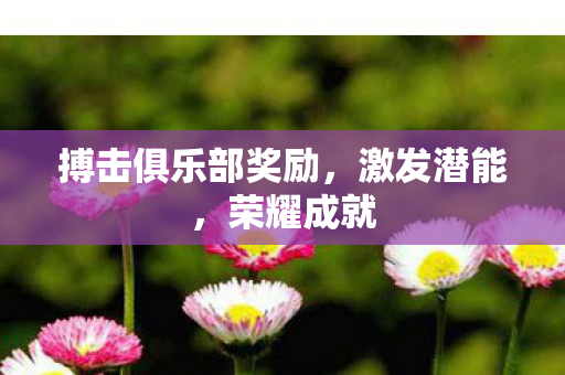 搏击俱乐部奖励,激发潜能,荣耀成就 搏击俱乐部奖励,激发潜能,荣耀成就