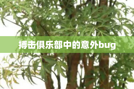 搏击俱乐部中的意外bug 搏击俱乐部中的意外bug