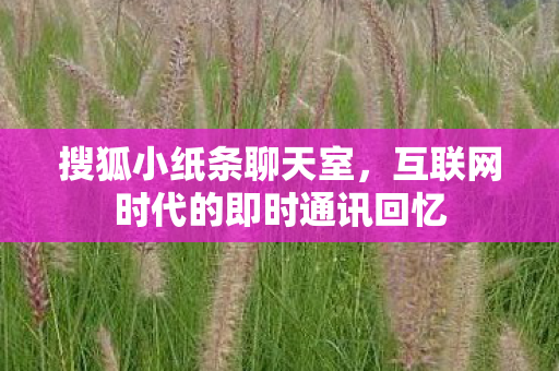 搜狐小纸条聊天室,互联网时代的即时通讯回忆 搜狐小纸条聊天室,互联网时代的即时通讯回忆