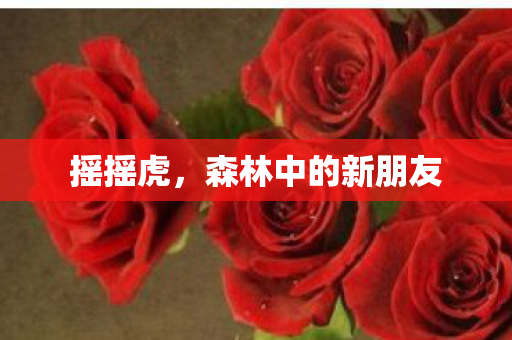 摇摇虎，森林中的新朋友