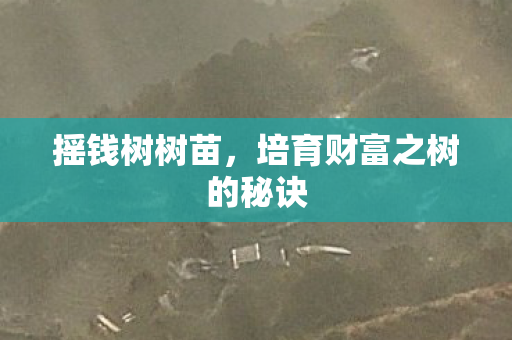 摇钱树树苗，培育财富之树的秘诀