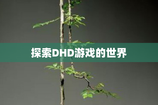 探索DHD游戏的世界 探索DHD游戏的世界