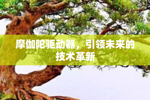 摩伽陀驱动器，引领未来的技术革新