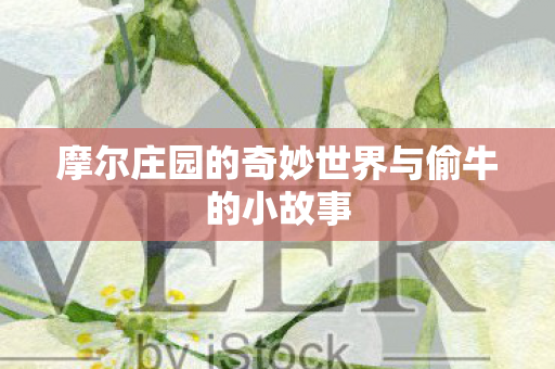 摩尔庄园的奇妙世界与偷牛的小故事 摩尔庄园的奇妙世界与偷牛的小故事