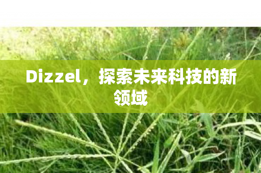 Dizzel,探索未来科技的新领域 Dizzel,探索未来科技的新领域