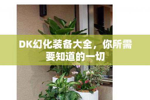 DK幻化装备大全,你所需要知道的一切 DK幻化装备大全,你所需要知道的一切