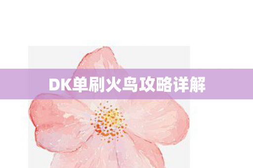 DK单刷火鸟攻略详解