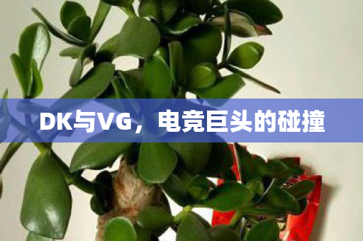 DK与VG，电竞巨头的碰撞