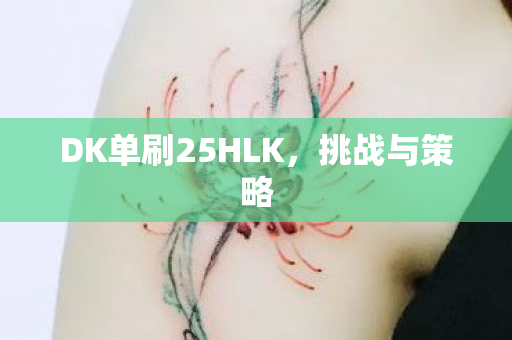 DK单刷25HLK,挑战与策略 DK单刷25HLK,挑战与策略