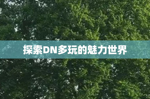 探索DN多玩的魅力世界 探索DN多玩的魅力世界
