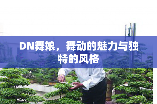 DN舞娘,舞动的魅力与独特的风格 DN舞娘,舞动的魅力与独特的风格