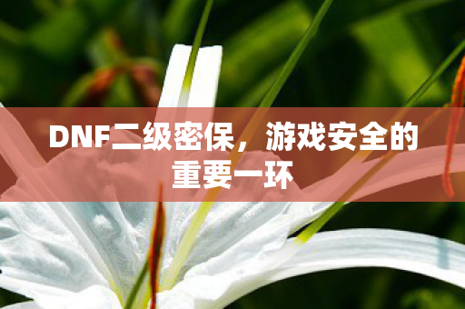 DNF二级密保,游戏安全的重要一环 DNF二级密保,游戏安全的重要一环