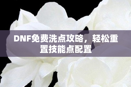 DNF免费洗点攻略，轻松重置技能点配置