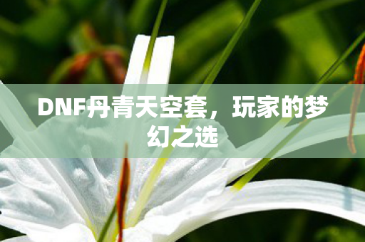 DNF丹青天空套，玩家的梦幻之选