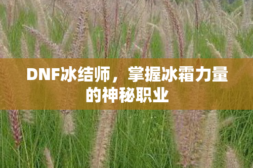 DNF冰结师，掌握冰霜力量的神秘职业