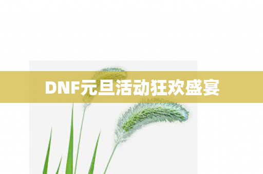 DNF元旦活动狂欢盛宴 DNF元旦活动狂欢盛宴