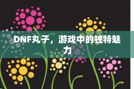DNF丸子,游戏中的独特魅力 DNF丸子,游戏中的独特魅力