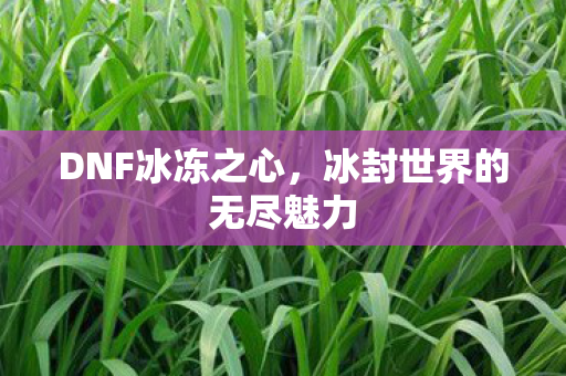 DNF冰冻之心,冰封世界的无尽魅力 DNF冰冻之心,冰封世界的无尽魅力