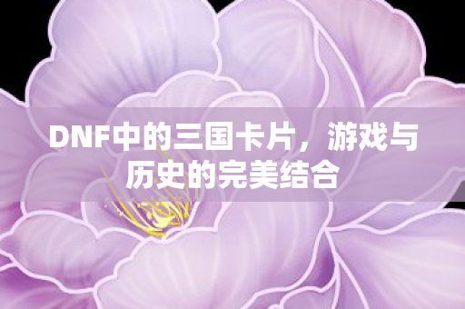 DNF中的三国卡片,游戏与历史的完美结合 DNF中的三国卡片,游戏与历史的完美结合