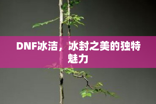 DNF冰洁，冰封之美的独特魅力