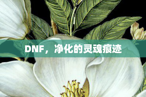DNF,净化的灵魂痕迹 DNF,净化的灵魂痕迹