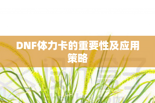 DNF体力卡的重要性及应用策略 DNF体力卡的重要性及应用策略