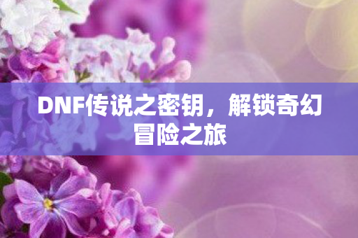 DNF传说之密钥,解锁奇幻冒险之旅 DNF传说之密钥,解锁奇幻冒险之旅
