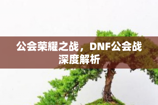 公会荣耀之战,DNF公会战深度解析 公会荣耀之战,DNF公会战深度解析