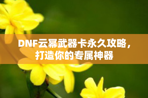 DNF云幂武器卡永久攻略,打造你的专属神器 DNF云幂武器卡永久攻略,打造你的专属神器