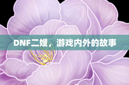 DNF二嫂,游戏内外的故事 DNF二嫂,游戏内外的故事