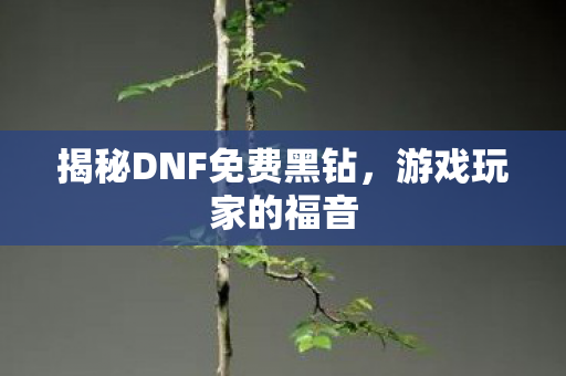 揭秘DNF免费黑钻,游戏玩家的福音 揭秘DNF免费黑钻,游戏玩家的福音