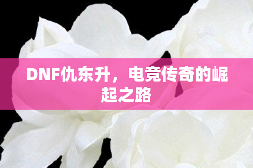 DNF仇东升,电竞传奇的崛起之路 DNF仇东升,电竞传奇的崛起之路