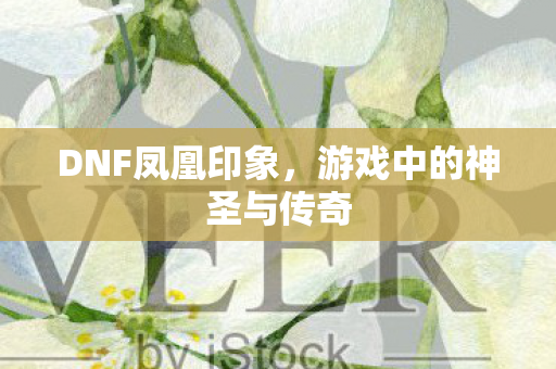 DNF凤凰印象,游戏中的神圣与传奇 DNF凤凰印象,游戏中的神圣与传奇