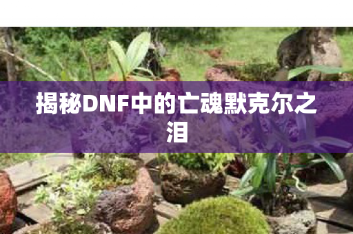 揭秘DNF中的亡魂默克尔之泪