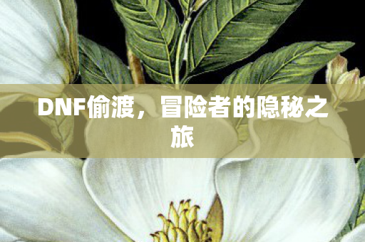 DNF偷渡，冒险者的隐秘之旅